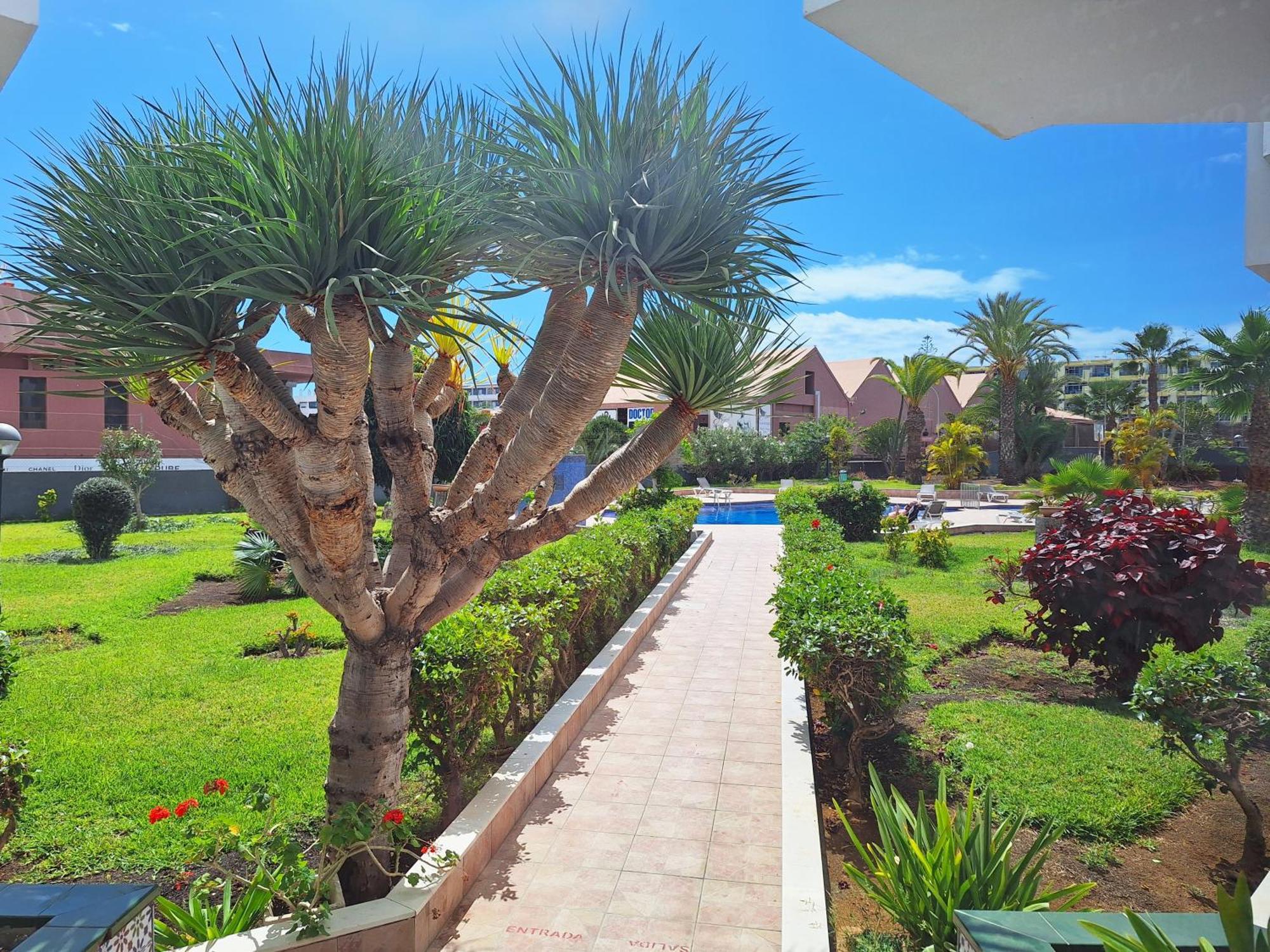 Stylish 2-Bedroom Apartment Yumbo Maspalomas  Exterior photo